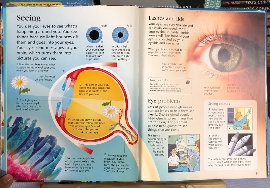 [USED]Usborne First Encyclopedia Of The Human Body