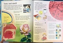 [USED]Usborne First Encyclopedia Of The Human Body