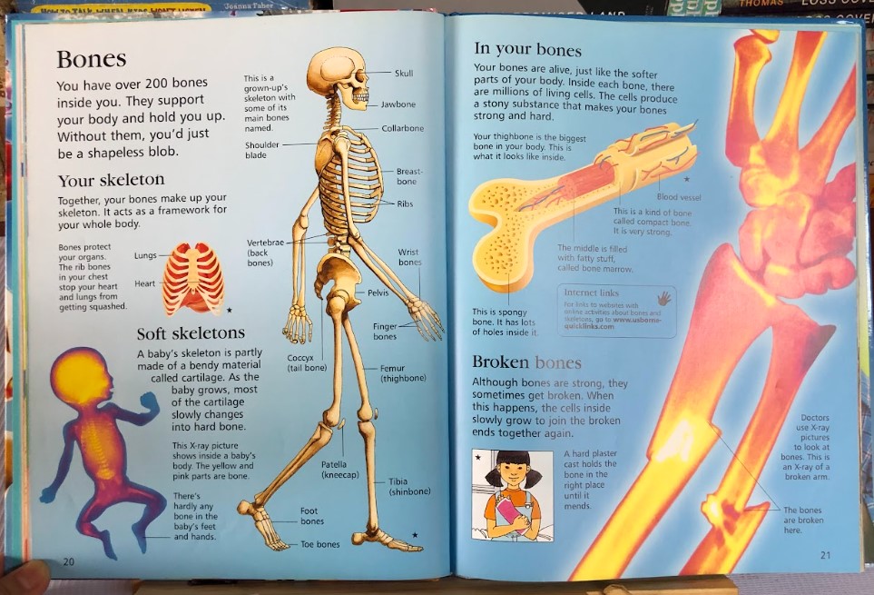 [USED]Usborne First Encyclopedia Of The Human Body