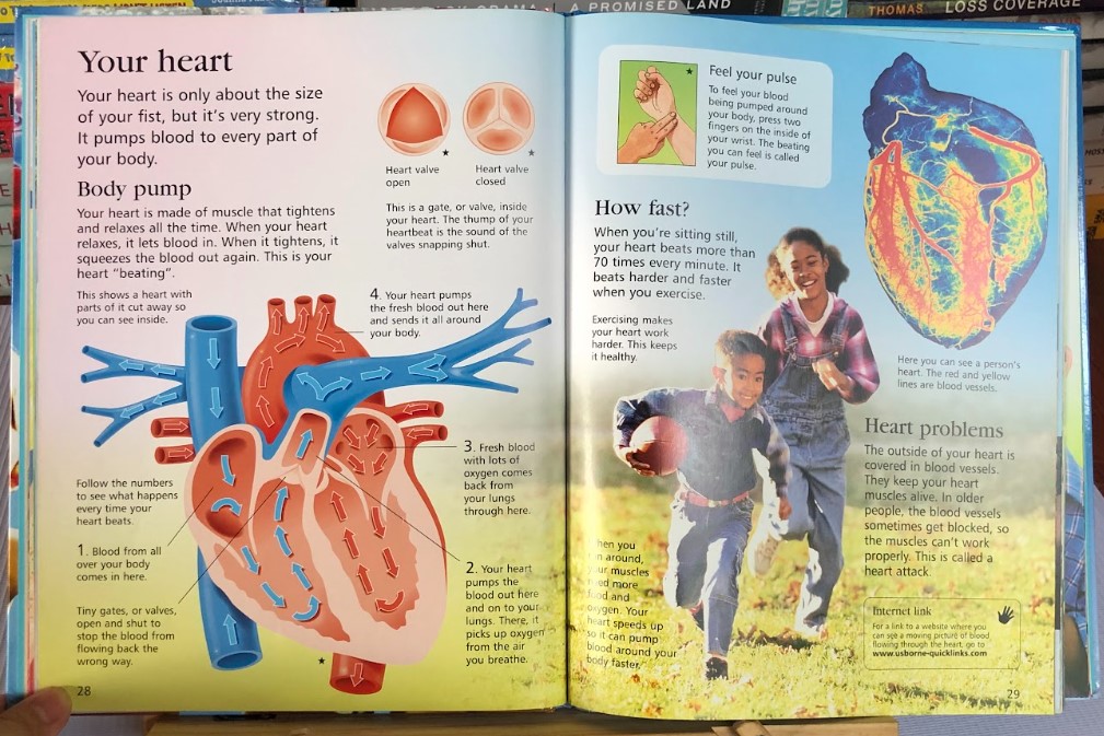 [USED]Usborne First Encyclopedia Of The Human Body