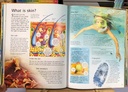 [USED]The Usborne Complete Book Of The Human Body