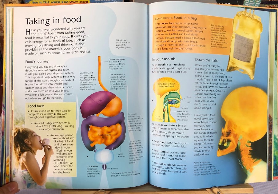 [USED]The Usborne Complete Book Of The Human Body