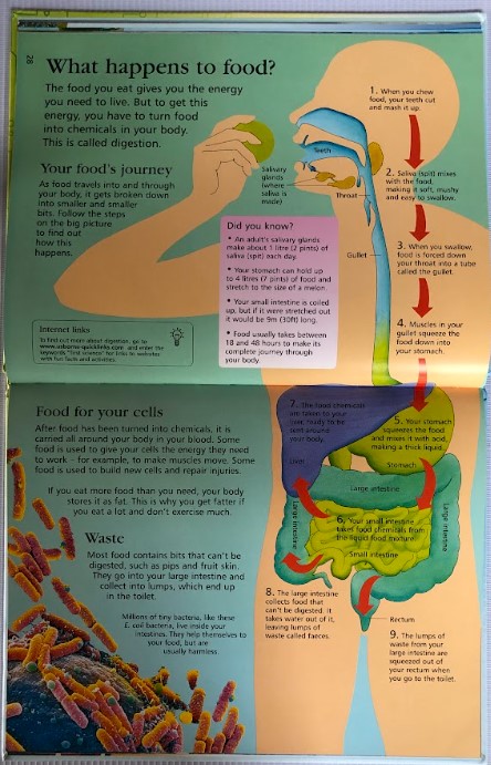 [USED]First Encyclopedia of Science