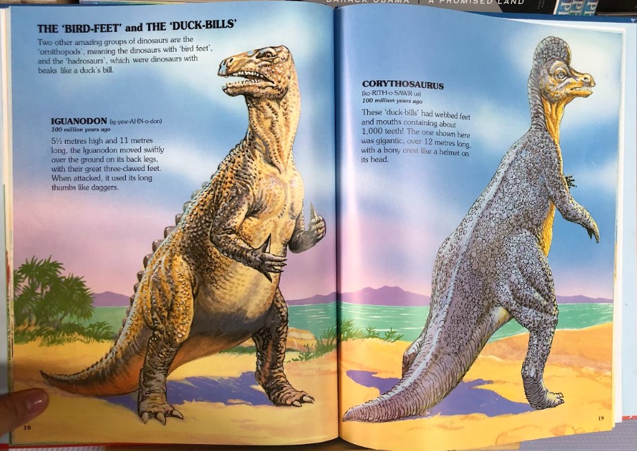 [USED]My First Book of Dinosaurs & Other Prehistoric Animals