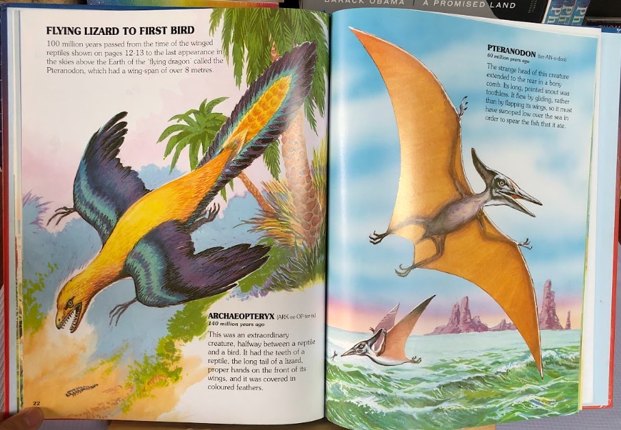 [USED]My First Book of Dinosaurs & Other Prehistoric Animals