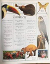 [USED]The Big Book Of Animals