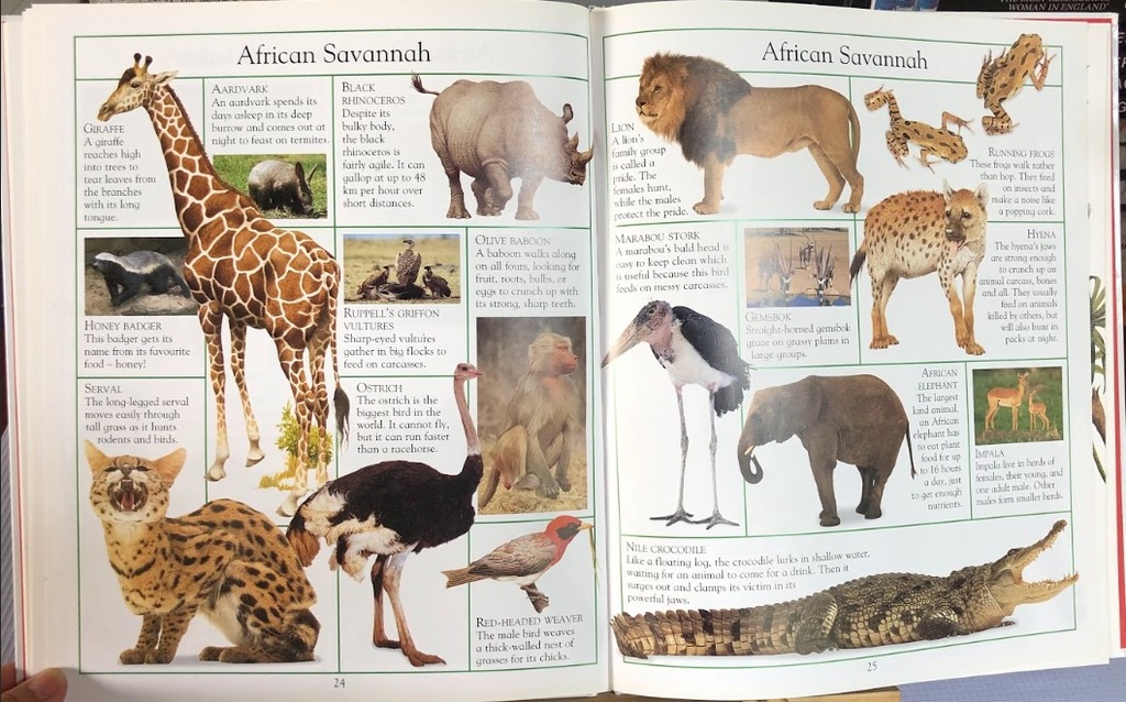 [USED]The Big Book Of Animals