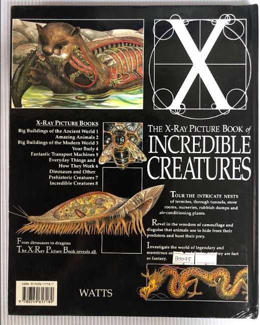 [USED]The X-Ray Picture Book of: Incredible Creatures