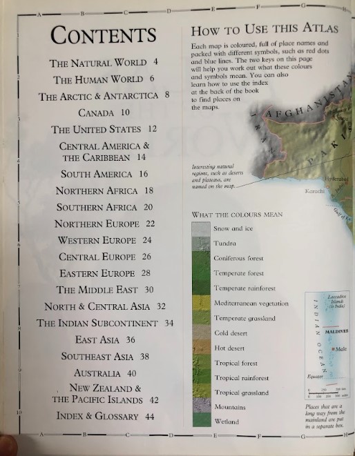 [USED]Picturepedia: Atlas Of The World