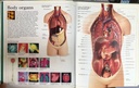 [USED]The Visual Dictionary of the Human Body