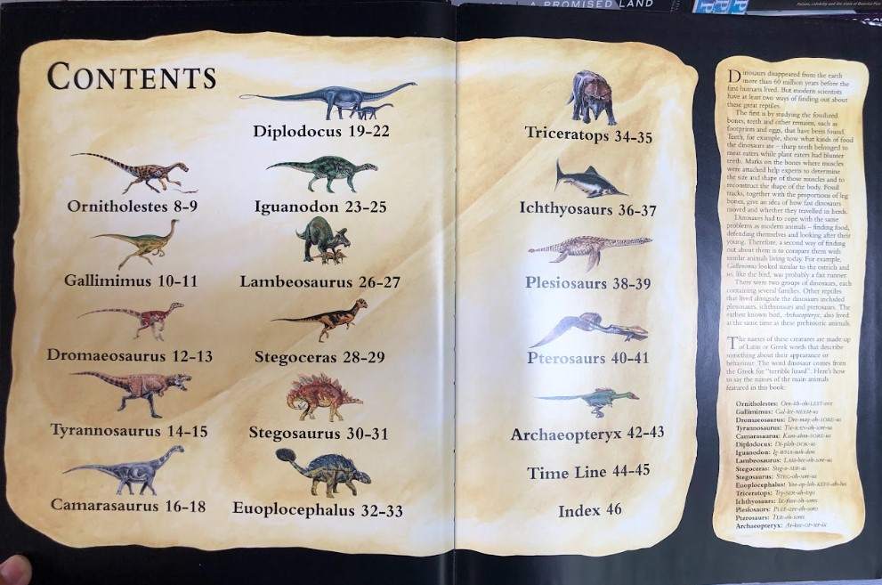 [USED]Dinosaur Skeletons