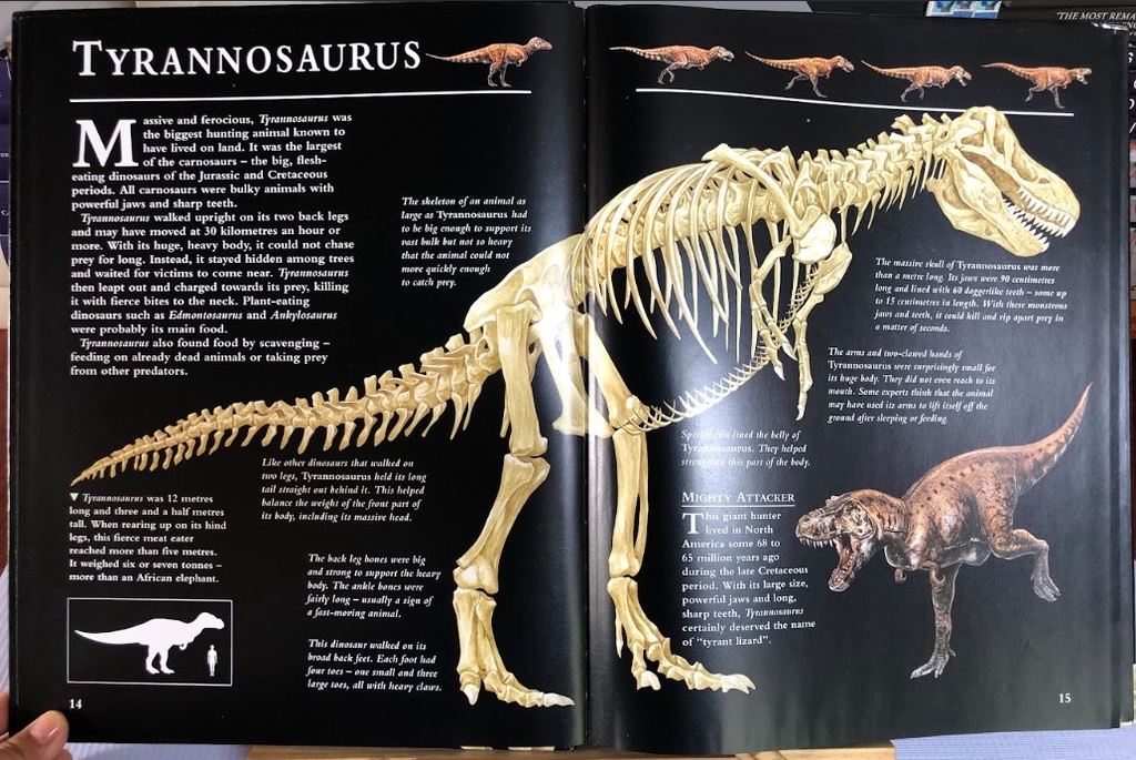 [USED]Dinosaur Skeletons