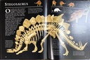 [USED]Dinosaur Skeletons