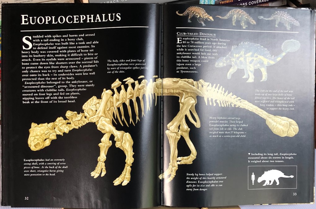 [USED]Dinosaur Skeletons