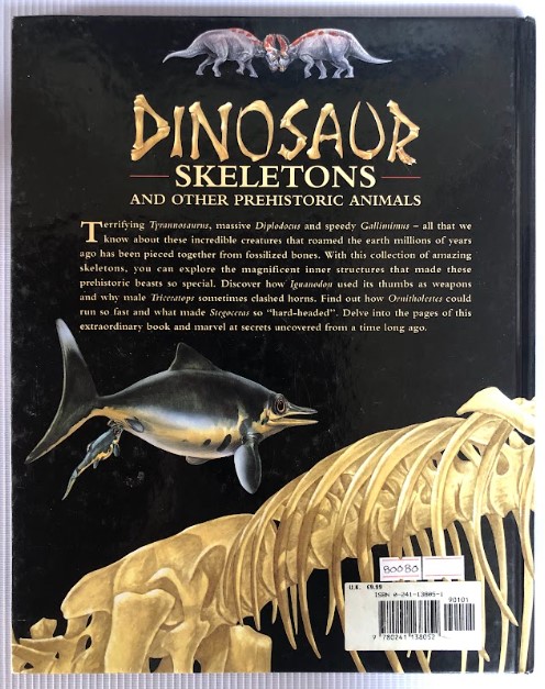 [USED]Dinosaur Skeletons