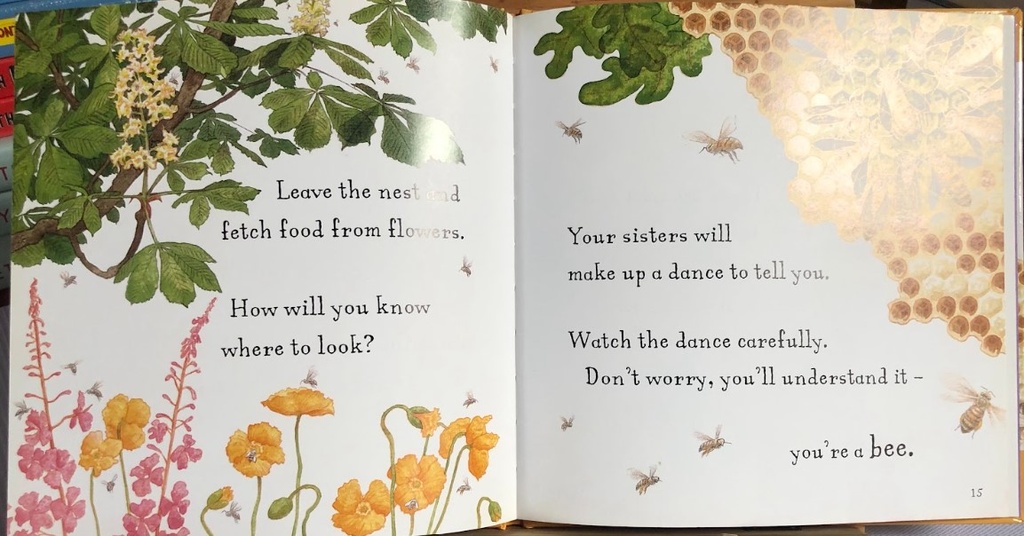 [USED]Are you a Bee? (Judy Allen and Tudor Humphries)