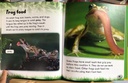 [USED]Animal Life Stories: Life Story of a Frog