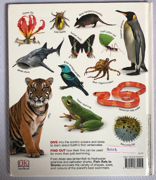 [USED]Fish: Eels To Sharks