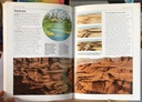 [USED]Planet Earth: Children's Illustrated Encyclopedia