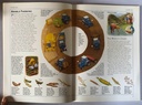 [USED]The World Economy: Children's Illustrated Encyclopedia