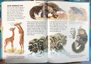 [USED]Look It Up 10: Warm-Blooded Animals