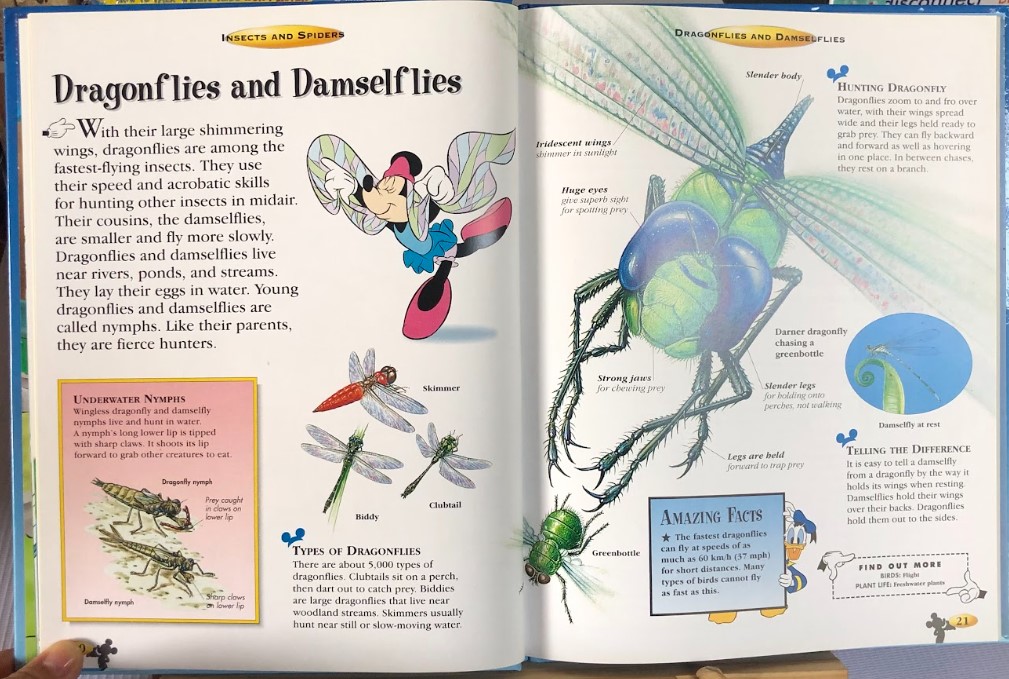 [USED]The Wonderful World of Knowledge: Insects And Spiders