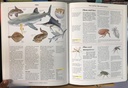 [USED]The Oxford Children's Encyclopedia Of Plants & Animals