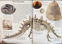 [USED]Eyewitness Dinosaur