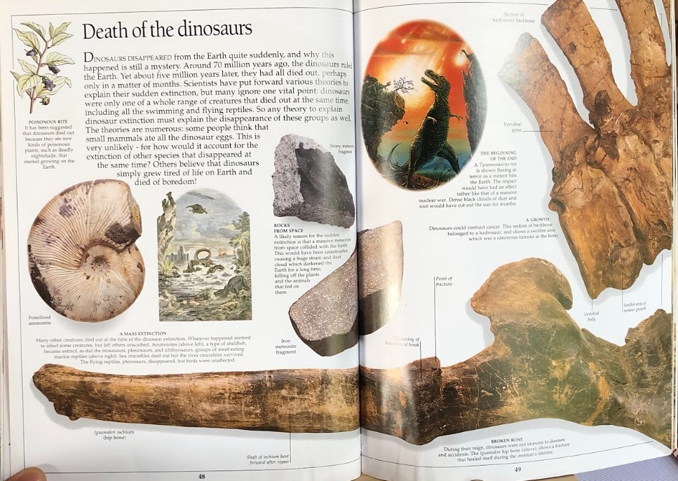 [USED]Eyewitness Dinosaur