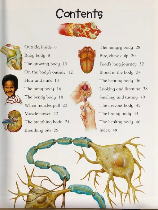 [USED]100 Facts: On The Human Body