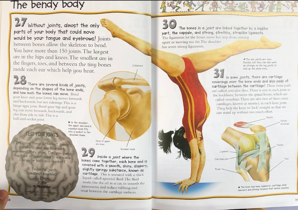 [USED]100 Facts: On The Human Body