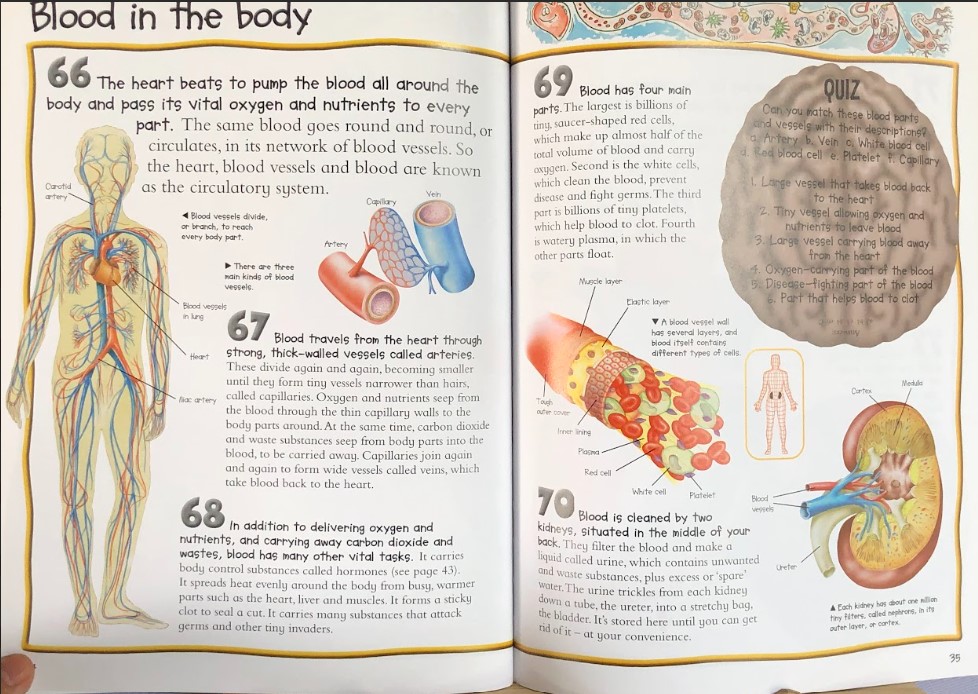 [USED]100 Facts: On The Human Body