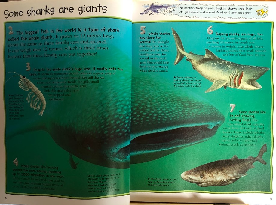 [USED]100 Facts: Sharks