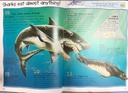 [USED]100 Facts: Sharks