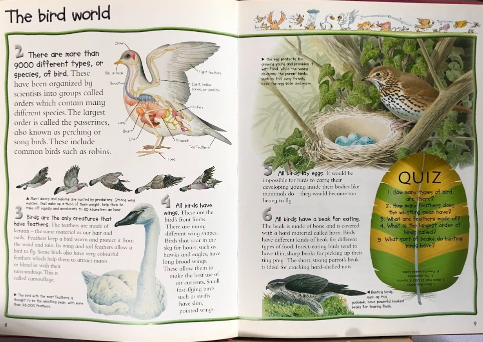 [USED]100 Things You Should Know About Birds