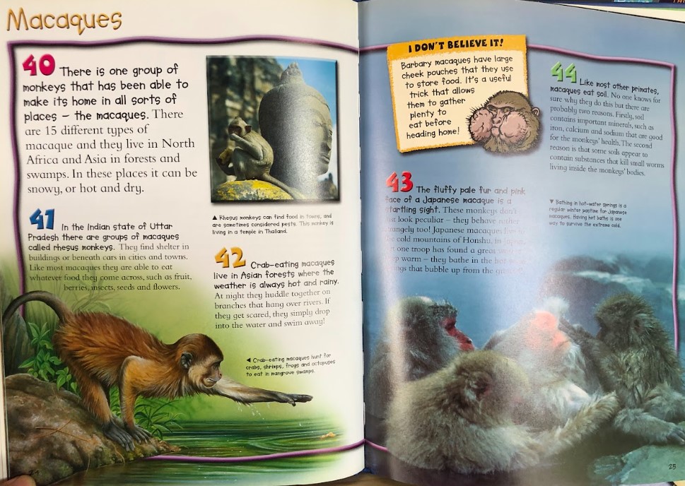 [USED]100 Things You Should Know About Monkeys & Apes