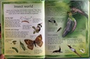 [USED]The Usborne Little Book Of Garden Wildlife