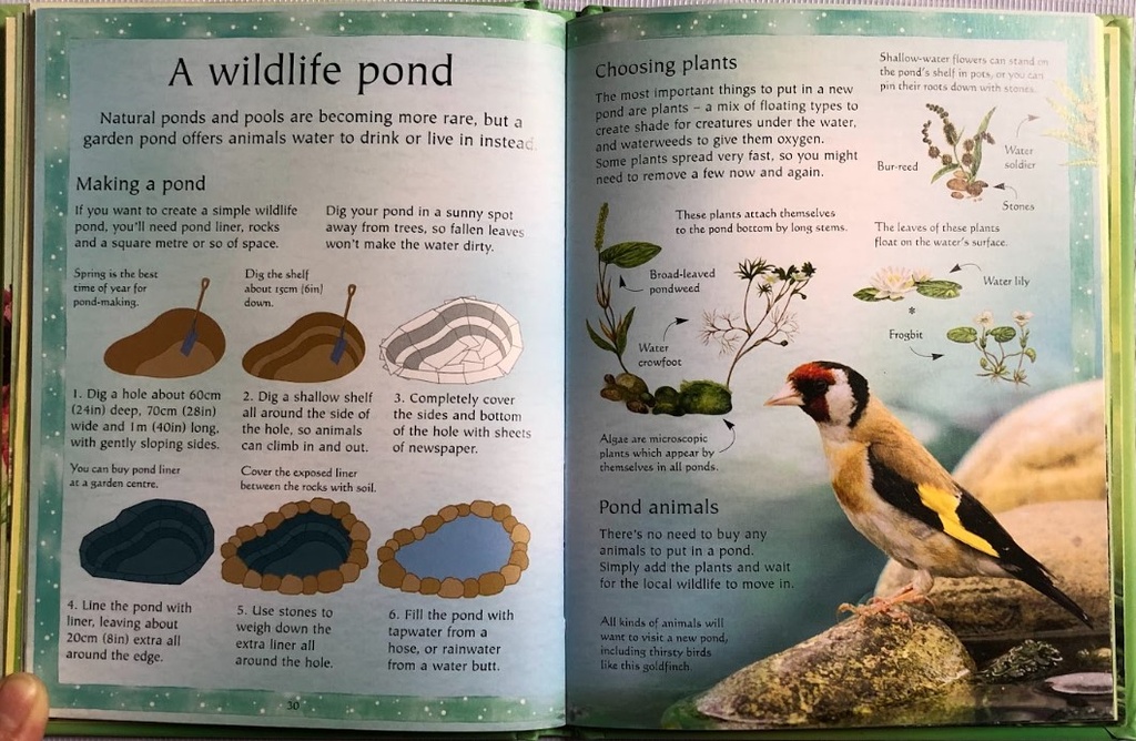 [USED]The Usborne Little Book Of Garden Wildlife