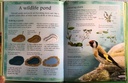 [USED]The Usborne Little Book Of Garden Wildlife