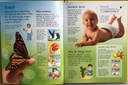 [USED]The Usborne Little Encyclopedia Of The Human Body