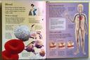 [USED]The Usborne Little Encyclopedia Of The Human Body