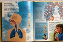 [USED]The Usborne Little Encyclopedia Of The Human Body