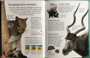 [USED]The Usborne Little Encyclopedia Of Animals