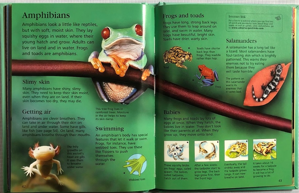 [USED]The Usborne Little Encyclopedia Of Animals