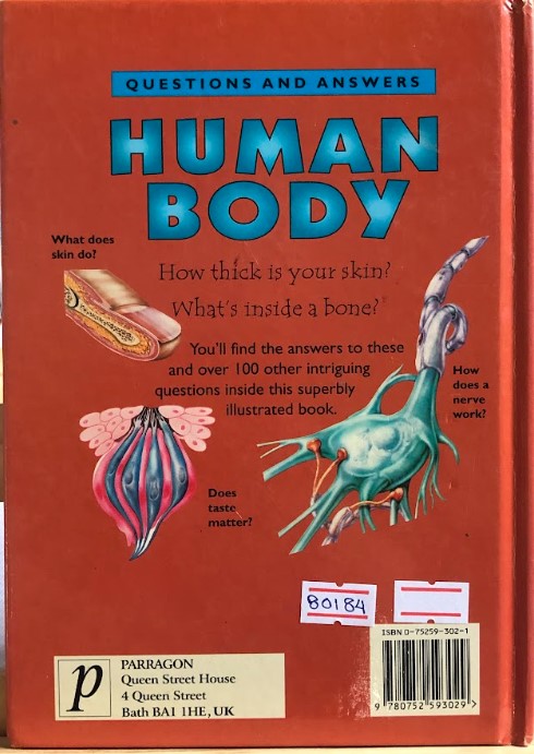 [USED]Human Body