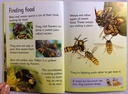 [USED]Usbrone Beginners: Bees and Wasps