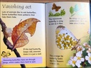 [USED]Usbrone Beginners: Caterpillars and Butterflies