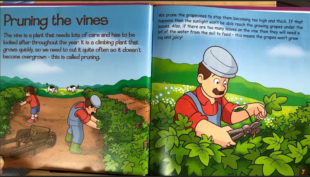 [USED]Produce From The Farm 46: Vineyards