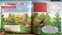 [USED]Her Bivorous Dinosaurs 49: Saltasaurus