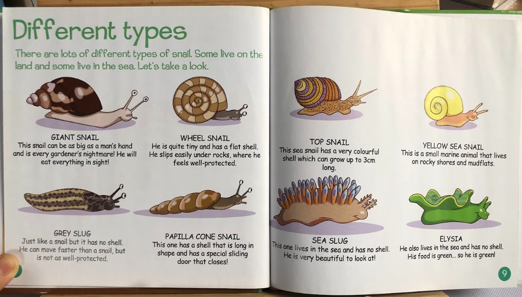 [USED]Animals in The Field 68: Snails and Worms